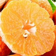 丑橘 不知火柑 5kg