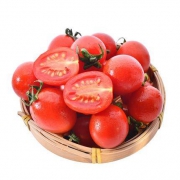 京东PLUS会员：湛沁 圣女果 小西红柿 净重5斤装