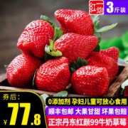 丹东东港 99红颜牛奶草莓 3斤
