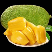 熟果甜 海南三亚菠萝蜜 10-15斤 精品果