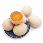 PLUS会员：静益乐源 黄河滩鸡蛋 农家鲜鸡蛋 10枚装*4件