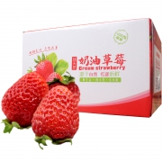 17日0点：净态 现摘新鲜奶油草莓 5斤装整