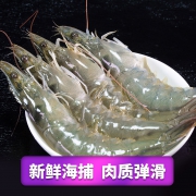 净重3斤，顺丰冷链直达：渔公码头 特大厄瓜多尔白虾