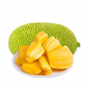10点开始：熟果甜 海南三亚菠萝蜜 10-15斤 精品果