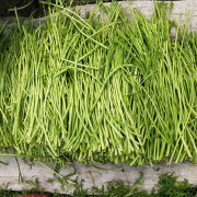 秋实生态农业 新鲜去头去尾净菜芦蒿蓠蒿有机蔬菜3斤 券后34.9元包邮 江浙沪皖鲁顺丰包邮