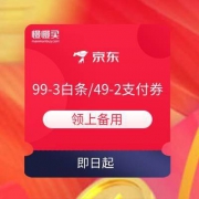京东福利站 99-3元白条券 49-2元支付券
