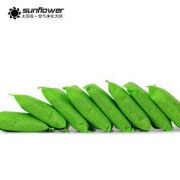 sunflower太阳花 复合活性炭2000g*3