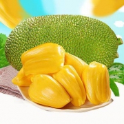 10点开始：秦品源 海南新鲜菠萝蜜 精品果 15-20斤