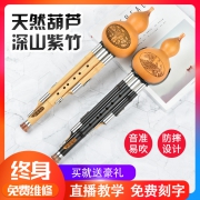 暮星 初学者入门级葫芦丝