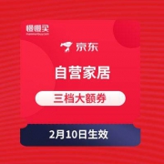提前领：199-100/399-200/799-400 三档自营家居东券 京东商城