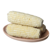 淘缘明 寒地黑土东北甜糯白玉米 10根 共3000g 18.8元包邮（需用券）