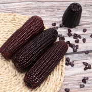 农存 山东黑糯玉米棒 220g*10根 26.8元包邮（需用券）