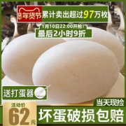 天天向上推荐 颐鲜堂 天然狮头鹅蛋 12枚 超大鹅蛋