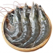 10点开始：海族 鲜活青岛大虾 8-10cm 净重1400g 约70-85只
