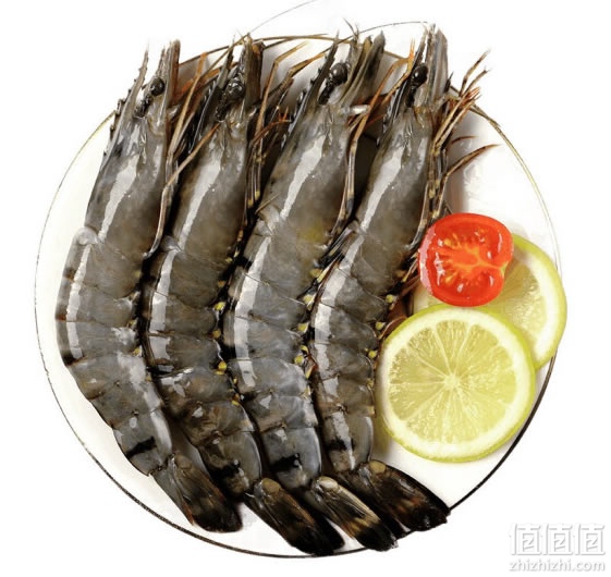 鱻谣黑虎虾