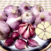 云南 紫皮大蒜 多瓣蒜  新鲜大蒜头 湿蒜