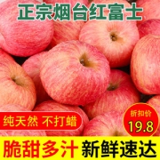 鲜旺角 烟台栖霞红富士苹果 5斤