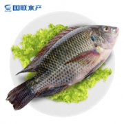 国联 南海去鳞去腮去脏罗非鱼 700g/袋 2条 *12件