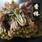 千谷恋 头茬红油香椿芽 2斤