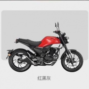 新大洲本田 CBF190TR 国四跨骑复古摩托车