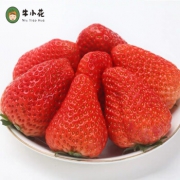 牛小花   丹东99草莓  3斤超大果 65元包邮（需用券）