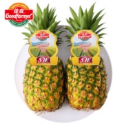 22日0点：佳农 菲律宾菠萝 2个装 单果重900g~1100g