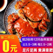 谷源道 大闸蟹 公3两 母2两 共6只 *2件
