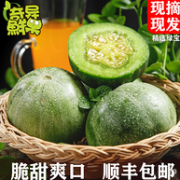 现摘现发 坏果包赔：绿宝 甜瓜 3斤