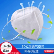 莞芷 KN95级别 防雾霾口罩 10只装