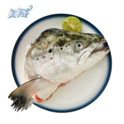 京东PLUS会员：美威 智利三文鱼头（大西洋鲑）400-700g 1只 *9件