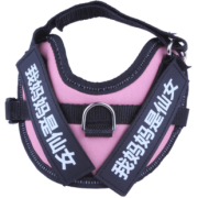 ￥1.1 遛宠必备、通用款！瓜洲牧 猫咪牵引绳