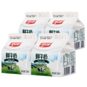 燕塘 新鲜纯牛奶 236ml*10盒