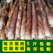 应季菜、新鲜现挖，觅农 现挖春笋竹笋 5斤