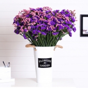 ￥7.9 兰语阁 云南四色混搭干花花束2斤装