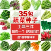 易种 庭院蔬菜 种子 35种蔬菜种子+工具+喷壶+肥2包