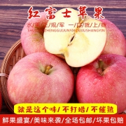 红富士苹果 5斤包邮现发  券后16.5元