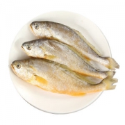菜帮 新鲜冰冻深海小黄鱼 5斤/50-60条