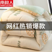南极人 被子被芯 春秋被 冬被多规格
