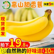 源鲜汇 高山甜 大香蕉 10斤