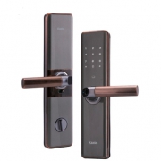 KAADAS 凯迪仕 S101 智能锁指纹锁 899元（需用券）