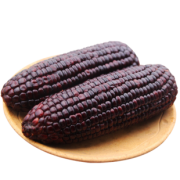农存 山东黑糯玉米棒 220g*10根 26.8元包邮（需用券）