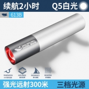 微笑鲨 便携手电筒 5.8元起包邮