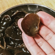 东北黑木耳干货500g 19.9元包邮