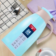 某天 家用保温水壶 1000ml