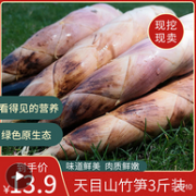 线下不够买1斤、新鲜现挖：临安天目山 竹笋 3斤