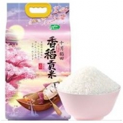 十月稻田 香稻贡米 东北大米 5kg *2件