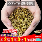 每日农经采访品牌 道地养生 石斛枫斗 10克  滋阴补肾抗疲劳