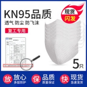 技普 N95 防病毒口罩 5只