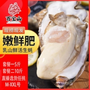 男人的加油站 百宝山 乳山鲜活牡蛎生蚝 5斤