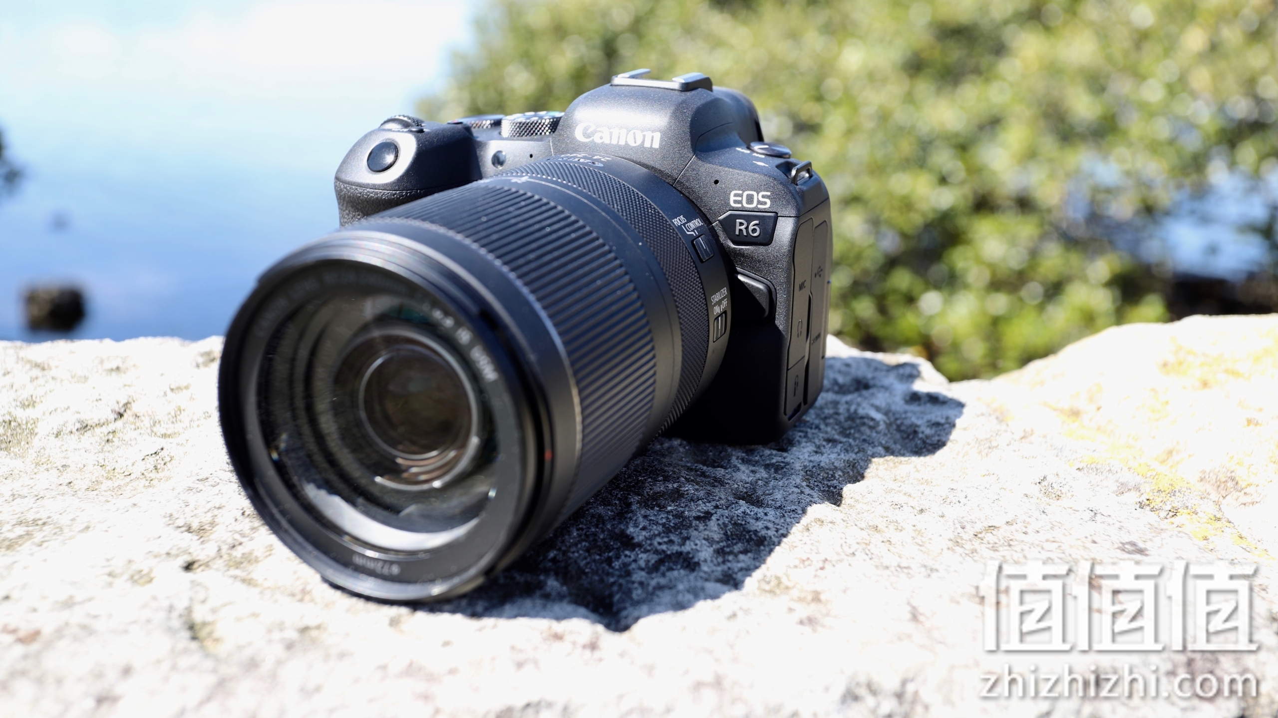 Canon 佳能 EOS R6 全画幅微单 4K视频拍摄 配合镜头实现双重8级防抖 动物检测
